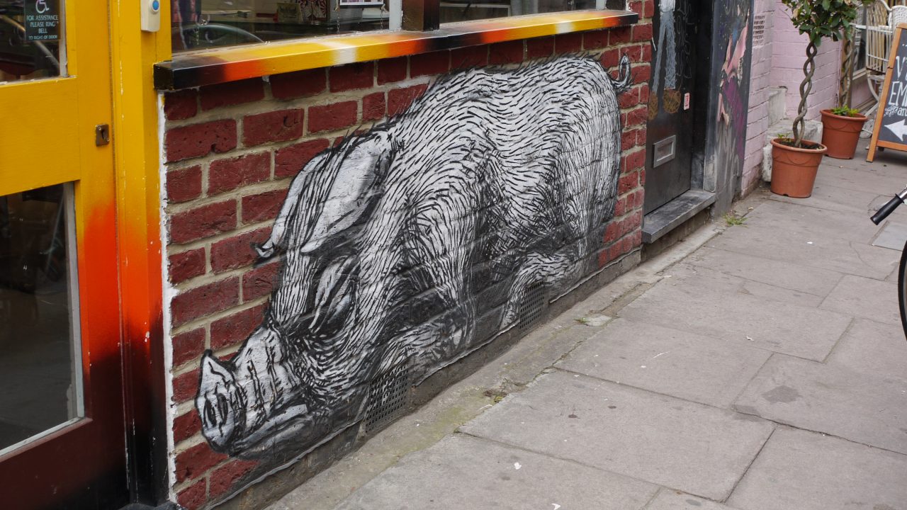 Roa - boar, London