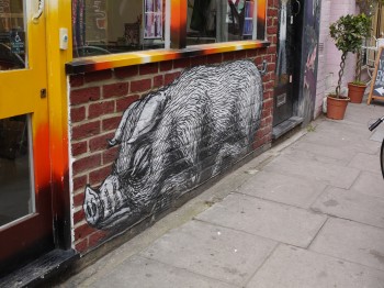 Roa - boar, London